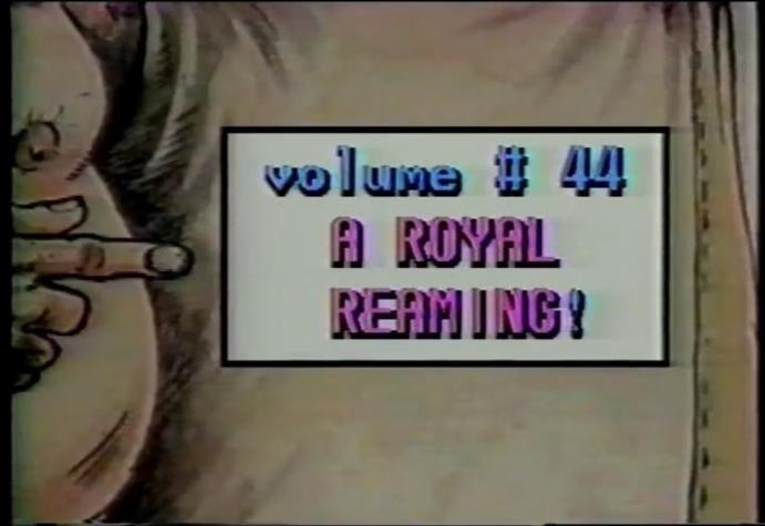 Amateur Home Videos 44 [1992]